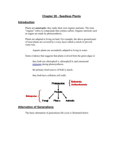 Chapter 28 - Seedless Plants - Schools