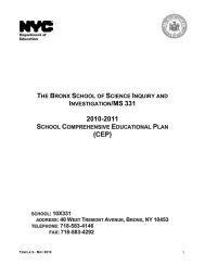 Comprehensive Educational Plan 2010-2011 - New York City ...