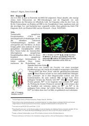 BSE – Diagnostik