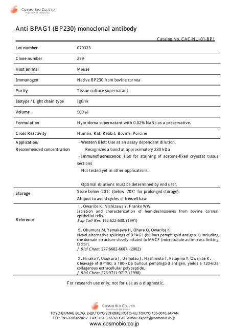 Anti BPAG1 (BP230) monoclonal antibody