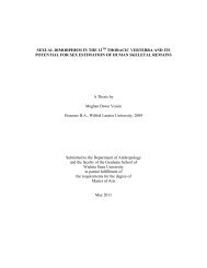 SEXUAL DIMORPHISM IN THE 12TH THORACIC VERTEBRA AND ...