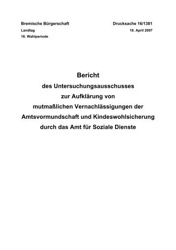 Abschlussbericht des Untersuchungsausschusses April 2007 (pdf ...