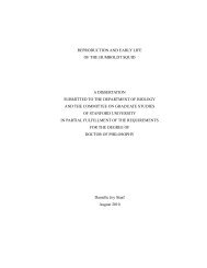 Reproduction and early life of the Humboldt squid - Stanford University