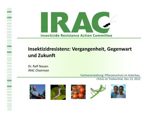 Insektizidresistenz - Landwirtschaft in Sachsen