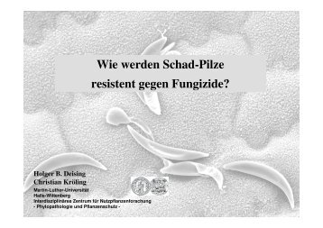 Wie werden Schadpilze resistent gegen Fungizide? [Download,*.pdf