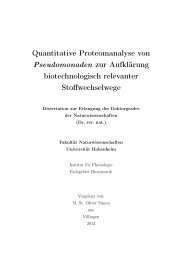 Dokument 2.pdf - OPUS-Datenbank - Universität Hohenheim