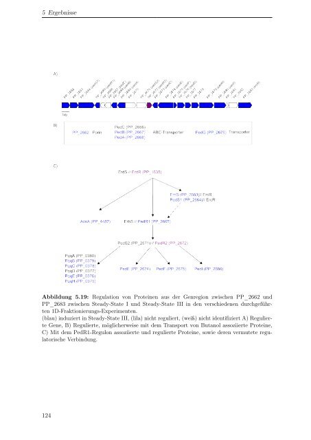 Dokument 2.pdf - OPUS-Datenbank - Universität Hohenheim