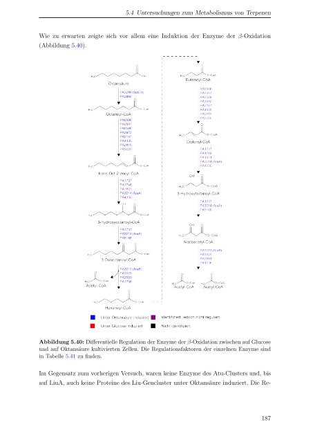 Dokument 2.pdf - OPUS-Datenbank - Universität Hohenheim