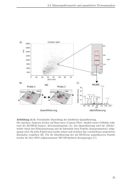 Dokument 2.pdf - OPUS-Datenbank - Universität Hohenheim