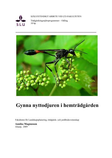 Gynna nyttodjuren i hemträdgården