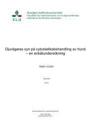 Djurägares syn på cytostatikabehandling av hund – en ... - SLU