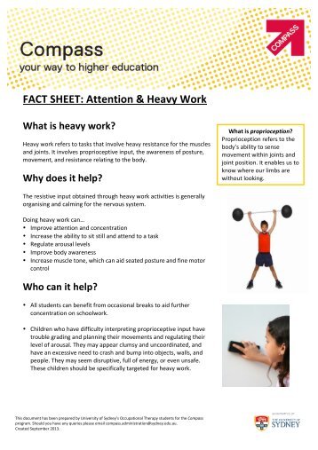 FACT SHEET: Attention & Heavy Work - The University of Sydney
