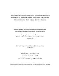 dissertation rwth