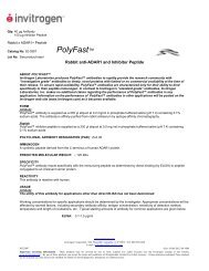 PolyFast™ - Invitrogen