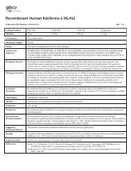 Recombinant Human Kallikrein 4 (KLK4) - Invitrogen