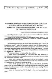 contributions to the knowledge of cumacea (crustacea) - Travaux.ro