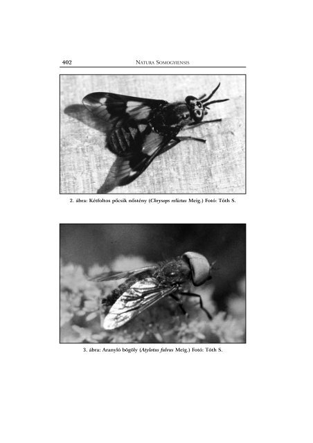 Somogy megye bögölyeinek katalógusa (Diptera: Tabanidae)