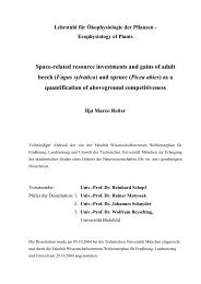 Space-related resource investments and gains of adult beech ...