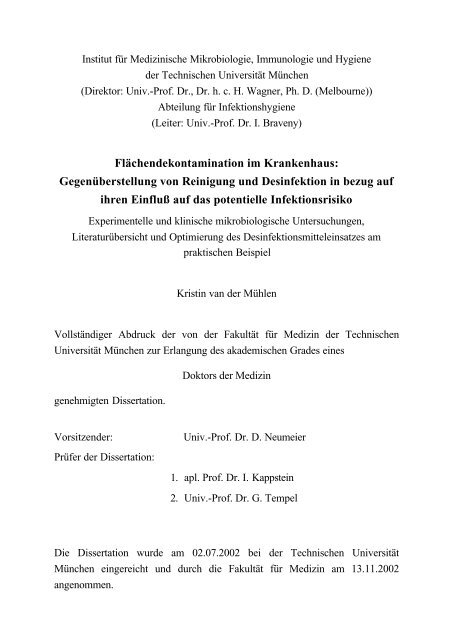 Thesis - Tumb1.biblio.tu-muenchen.de