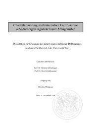 Dokument 1.pdf
