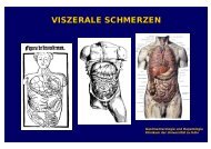 VISZERALE SCHMERZEN - UK-Online - Universität zu Köln