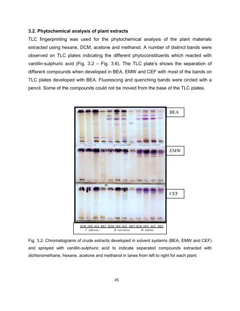 Mmushi T MSc (Microbiology).pdf