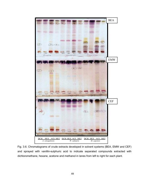 Mmushi T MSc (Microbiology).pdf