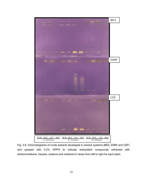 Mmushi T MSc (Microbiology).pdf