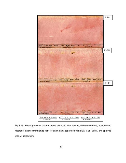 Mmushi T MSc (Microbiology).pdf