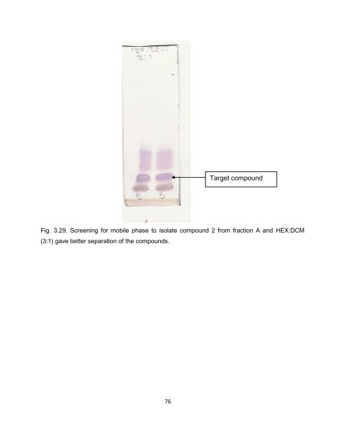 Mmushi T MSc (Microbiology).pdf