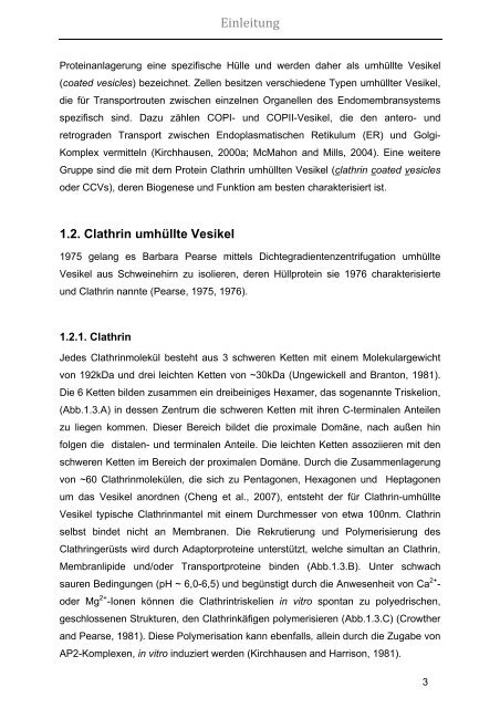 Funktionelle Regulation des Clathrin Adaptor Komplexes 2 (AP2)