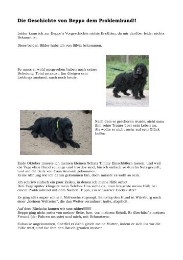 Die Geschichte von Beppo dem Problemhund - PicR