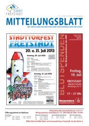 Mitteilungsblat 13-2013.indd - Stadt Freystadt