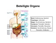 Beteiligte Organe