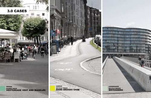 Aalborg Universitet Bike Infrastructures Report Silva, Victor ... - VBN