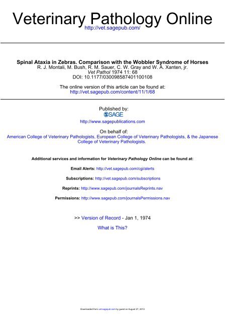 Spinal Ataxia in Zebras