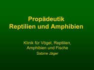 Propädeutik Reptilien und Amphibien - Vetstudy