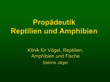 Propädeutik Reptilien und Amphibien - Vetstudy