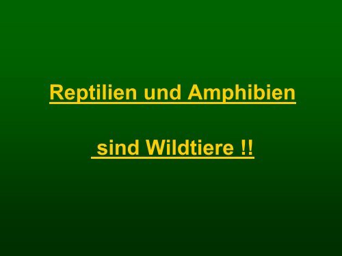 Propädeutik Reptilien und Amphibien - Vetstudy