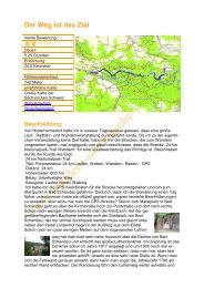 Der Weg ist das Ziel - Wandern in der Sächsische Schweiz