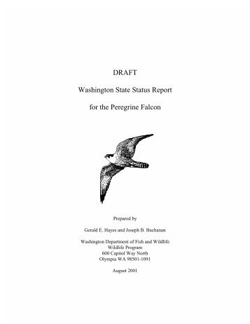WDFW Draft Peregrine Falcon Status Report - Washington ...