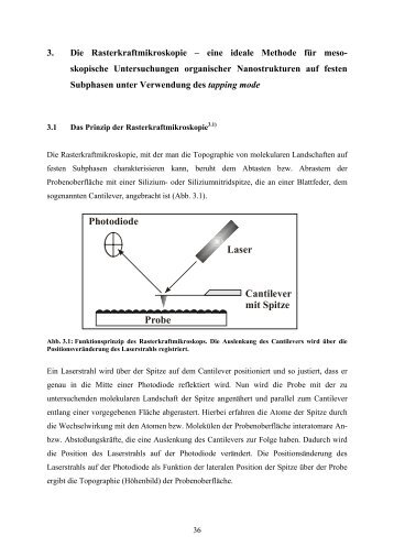 Probe Cantilever mit Spitze Laser Photodiode