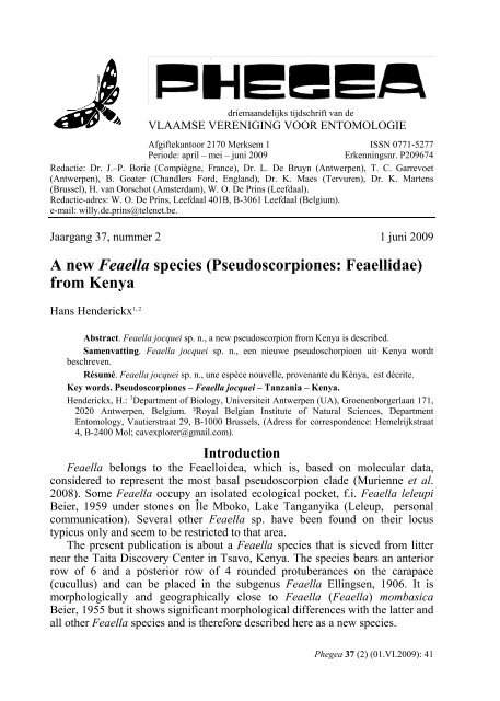 A new Feaella species (Pseudoscorpiones: Feaellidae) from Kenya