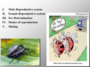 I. Male Reproductive system II. Female Reproductive system III. Sex ...