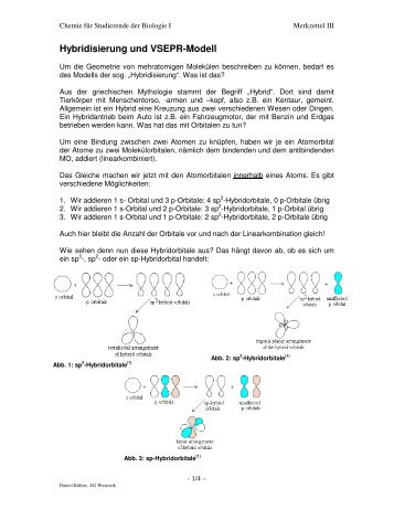 Hybridisierung und VSEPR-Modell - Www User Uni Bremen