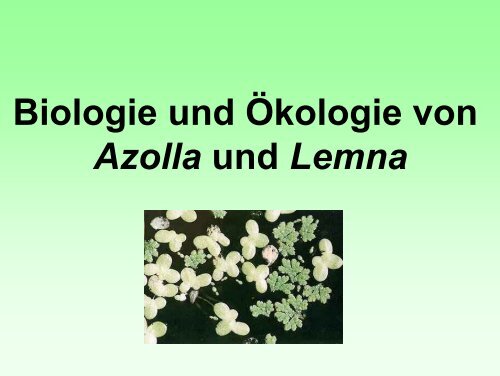Biologie und Ökologie von Azolla und Lemna - www-user
