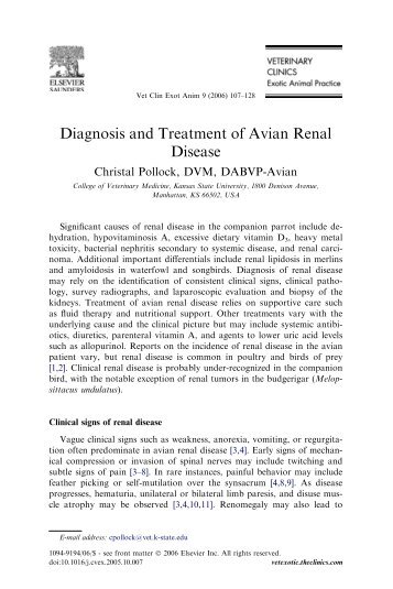 Diagnosis and Treatment of Avian Renal Disease - 2ndChance.info