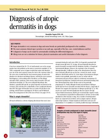 Diagnosis of atopic dermatitis in dogs - 2ndChance.info