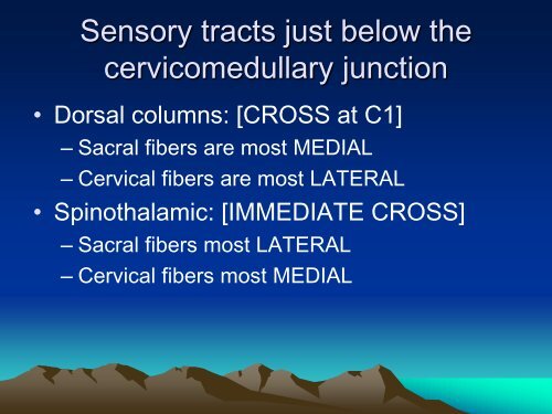 MKSAP Neurology Review