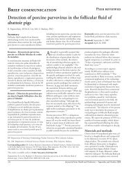 Detection of porcine parvovirus in the follicular fluid of abattoir pigs